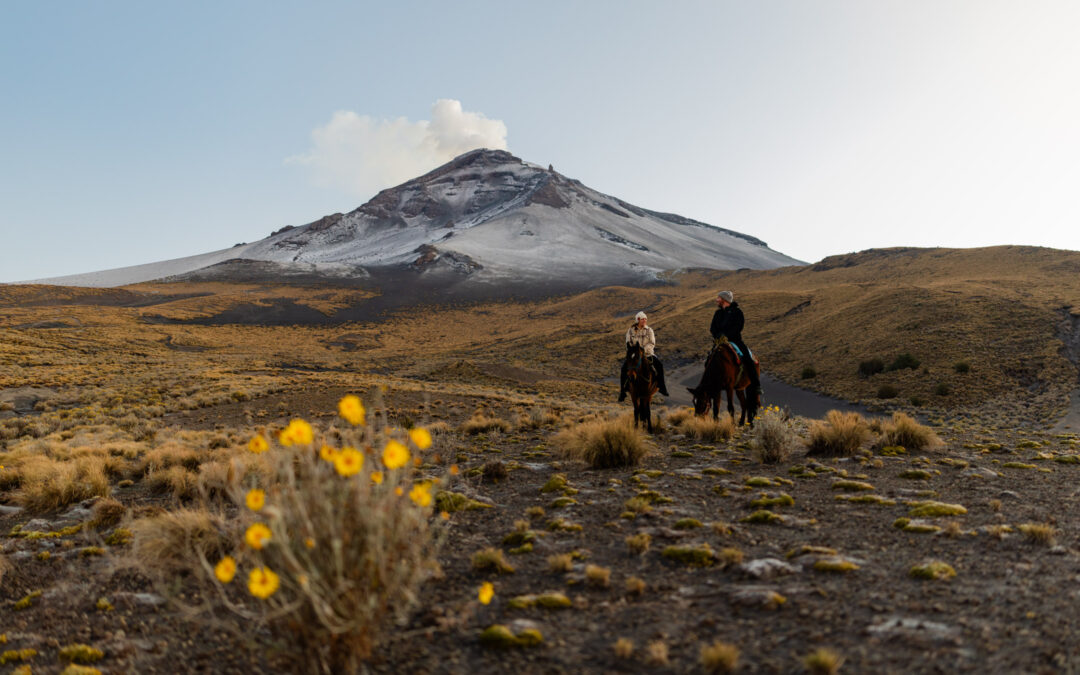 4 Day Couples Adventure in Mexico